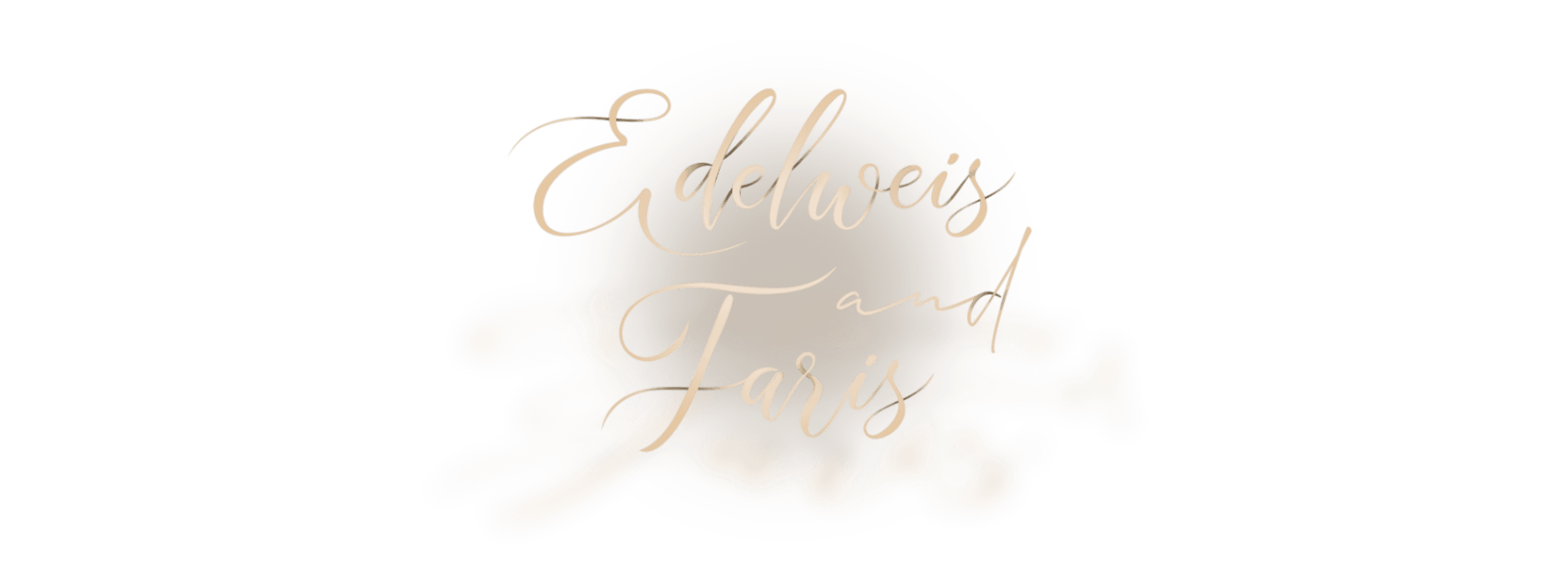 Bismillah Signature